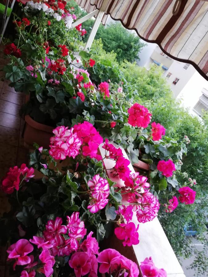 B&B Casa Mia Альгеро Экстерьер фото