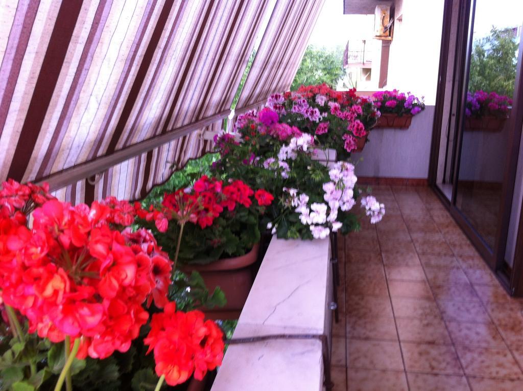 B&B Casa Mia Альгеро Экстерьер фото