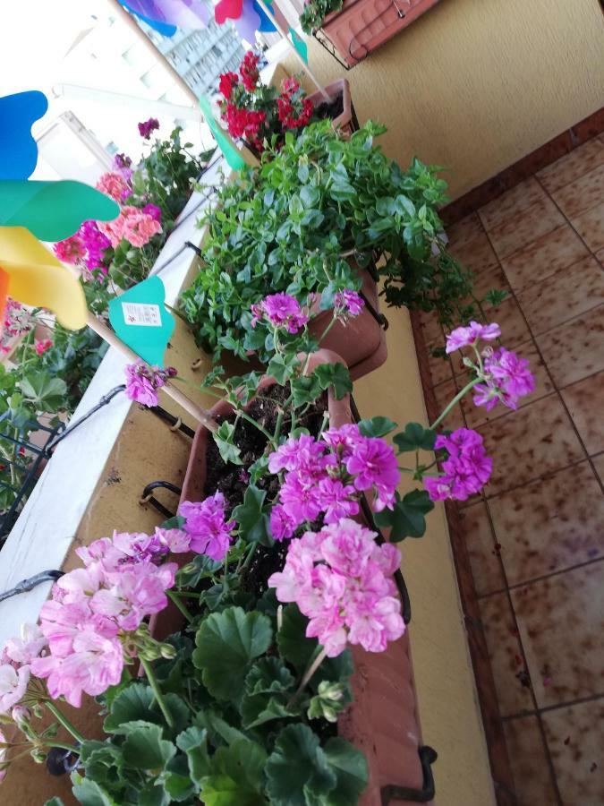B&B Casa Mia Альгеро Экстерьер фото